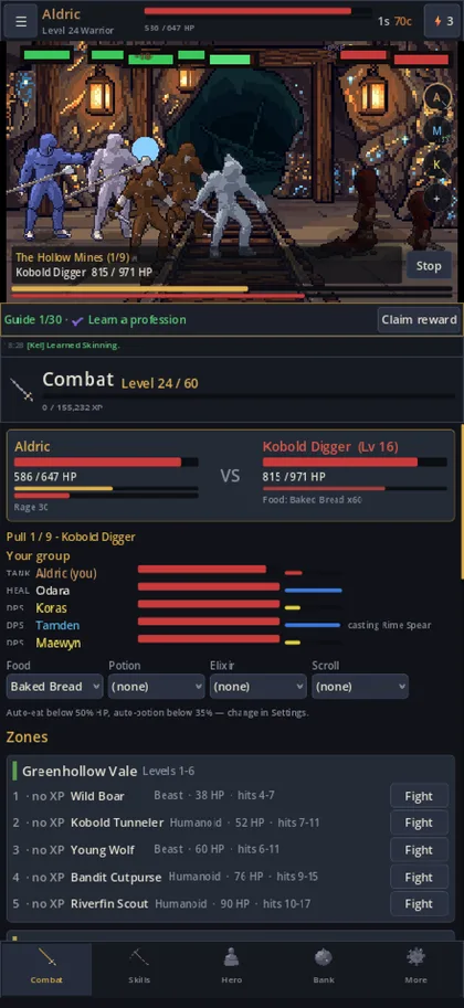 A dungeon run